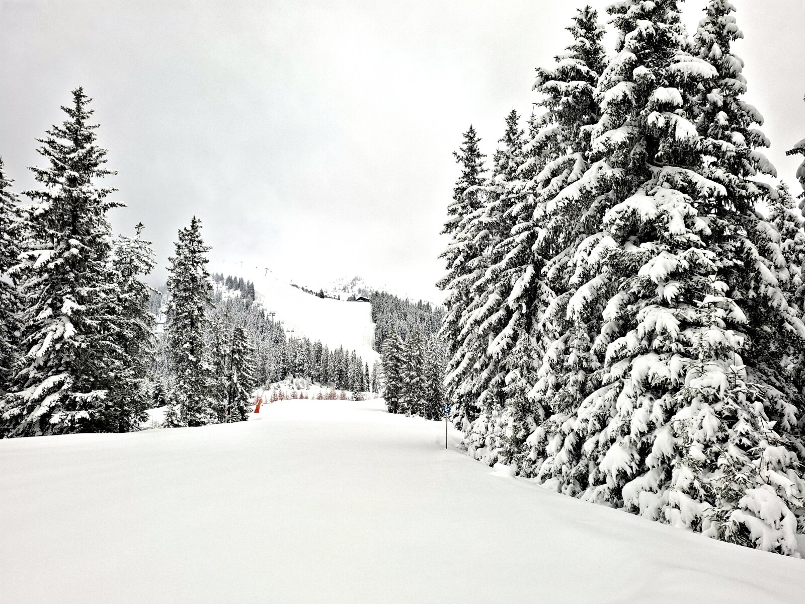 A 2-es kék pálya teteje, szemben a 1-es piros