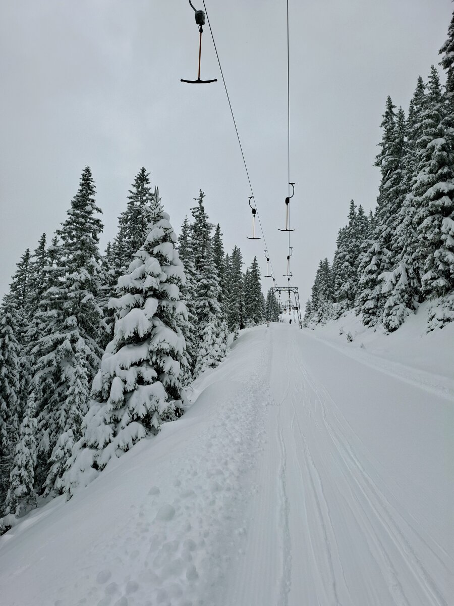 Kedvenc csákányosunk Zellben, a Hahnkoplift. Kék pályásoknak nagyszerű a mellette lévő 15-ös, mi az azon túl található ritkás fenyvesekért járunk ide