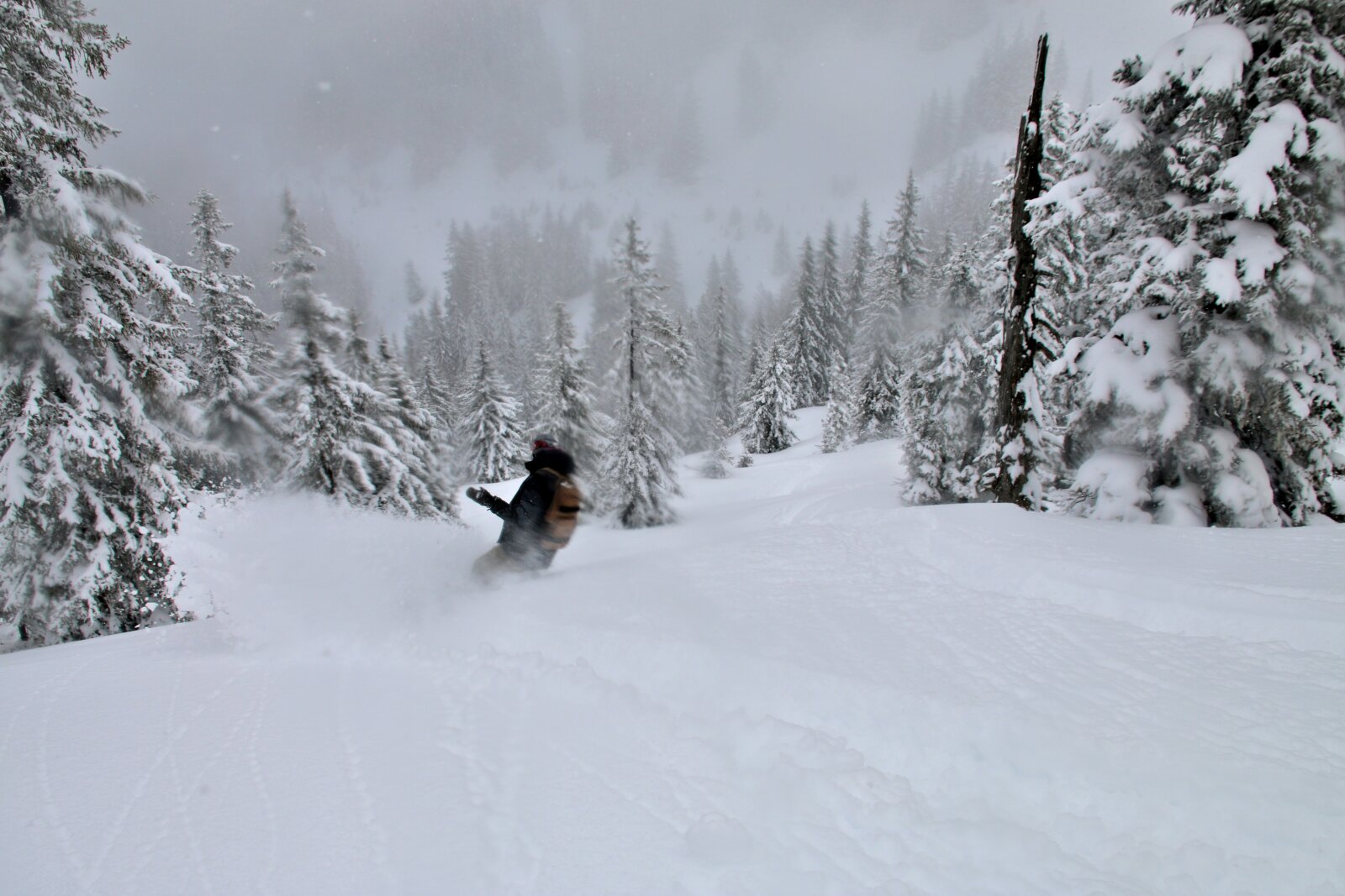 Kis-Kanada április elsején