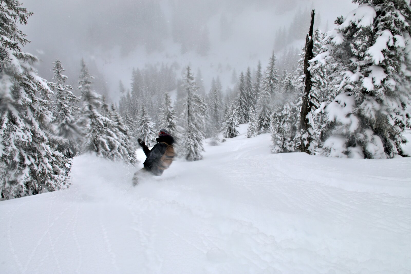 Lágy ringatózás a meseerdőben, a legszebb januári napokat idézve