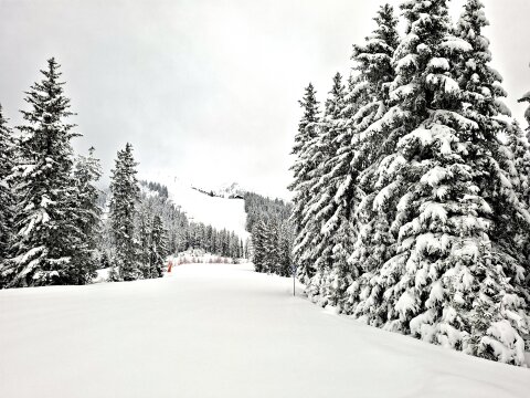 A 2-es kék pálya teteje, szemben a 1-es piros