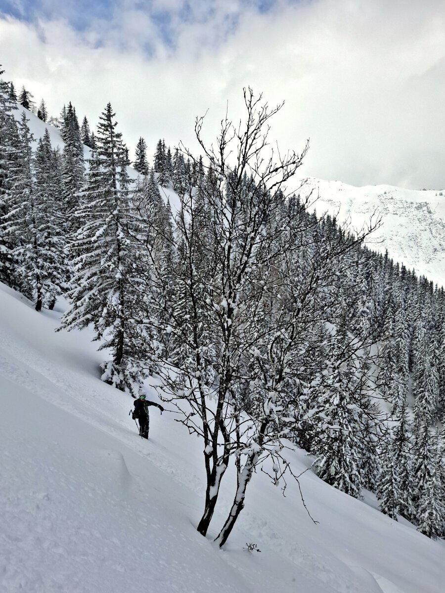 Hóból nincs hiány, terepen 100-120 cm vagy annál is több