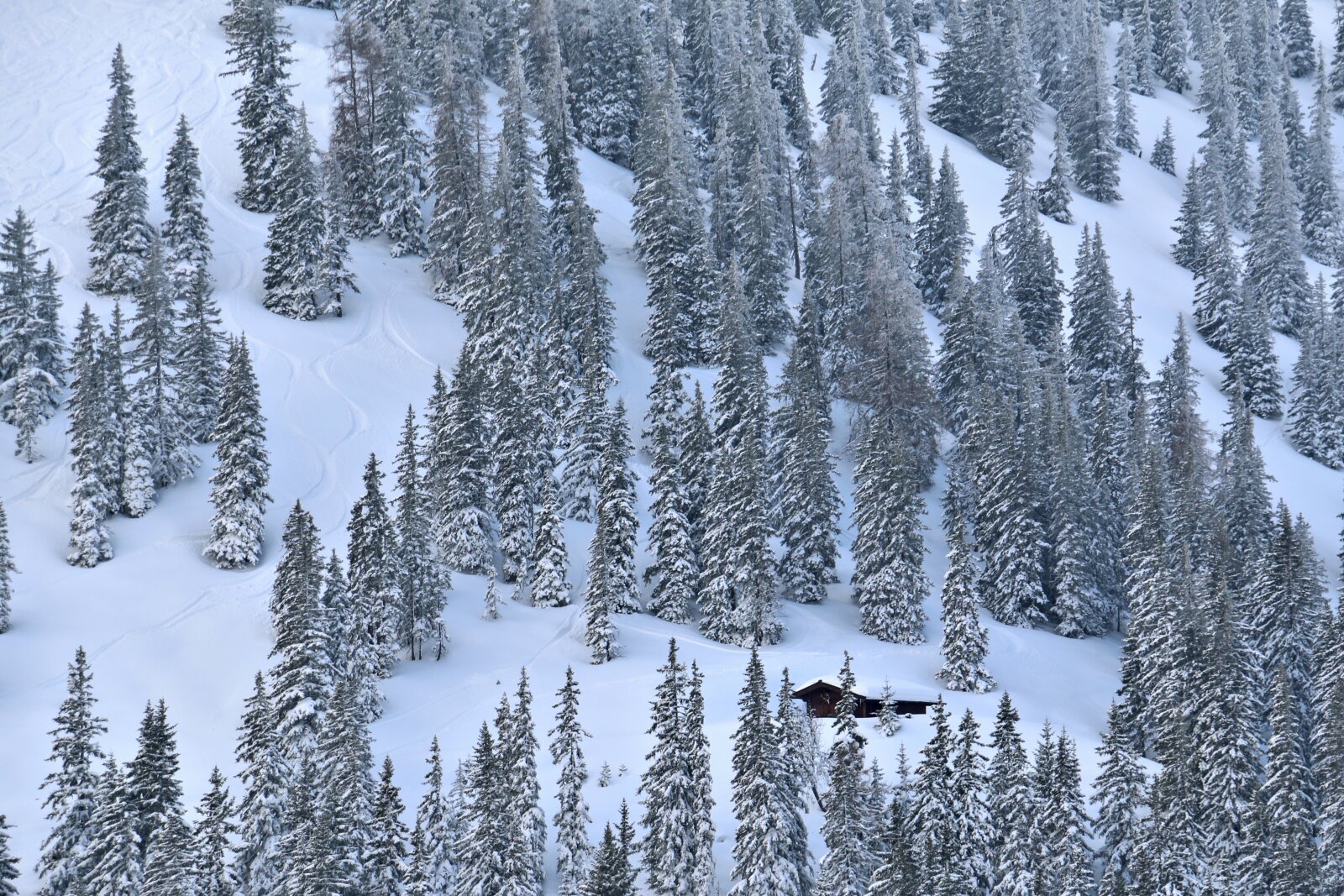 Vadászkunyhó a meseerdő közepén