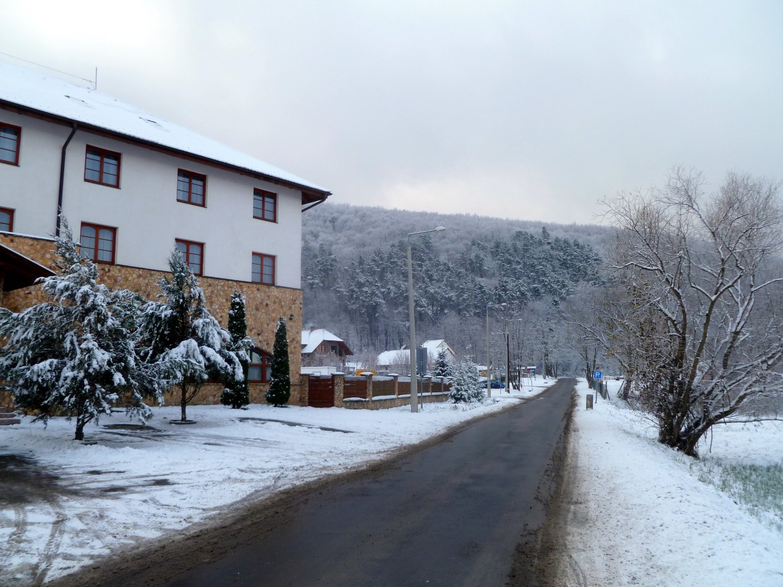 zemplen-2012-02.JPG