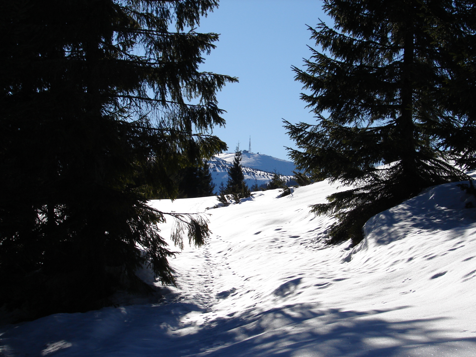 Megpillantottuk a Nagybihar 1800m-es csúcsát