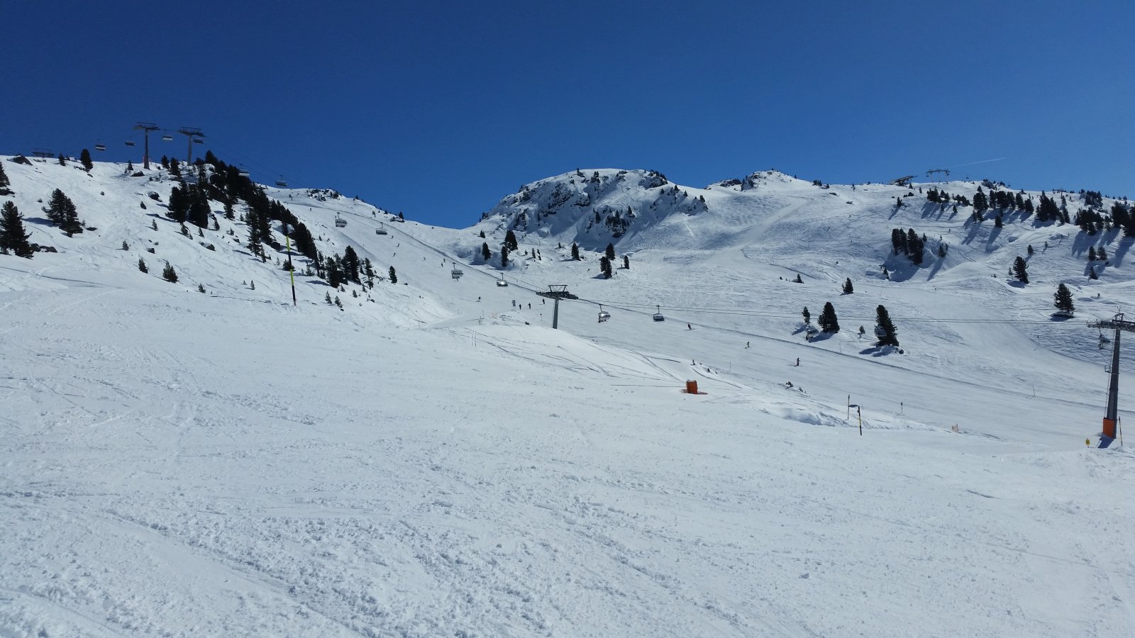 20160319-130522.jpg