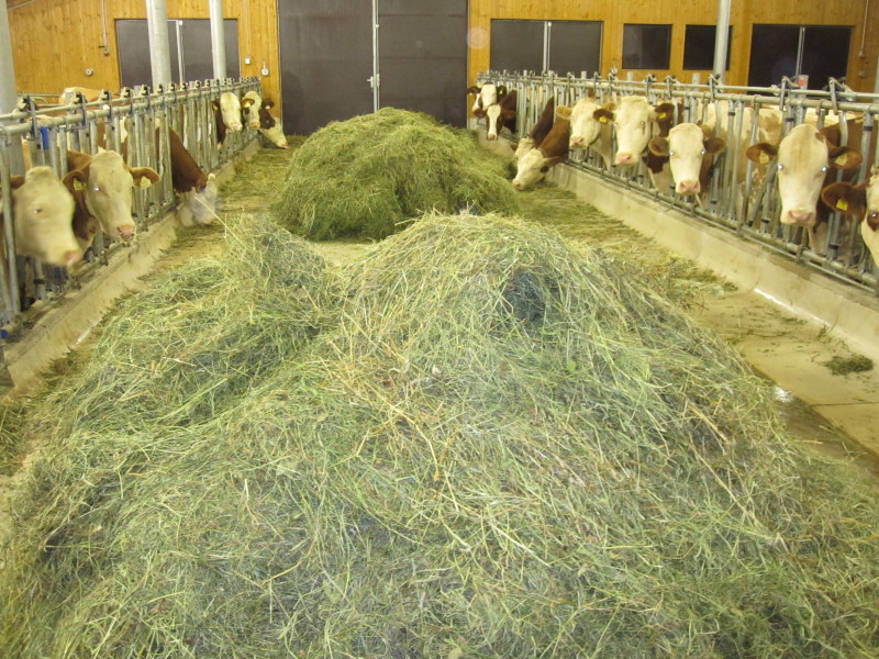 a Webcam másik oldalán