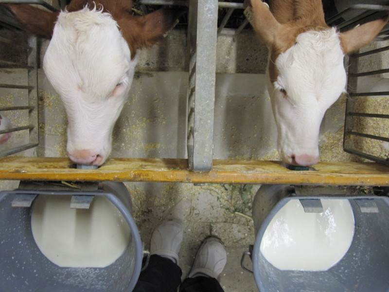 Született október 24-én