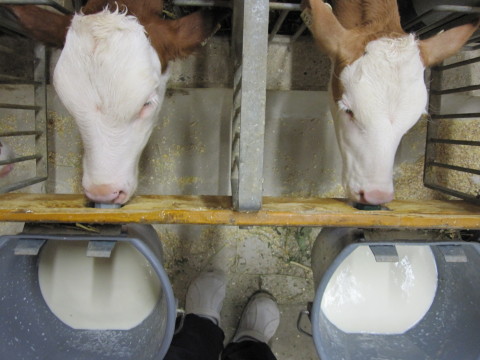 Született október 24-én