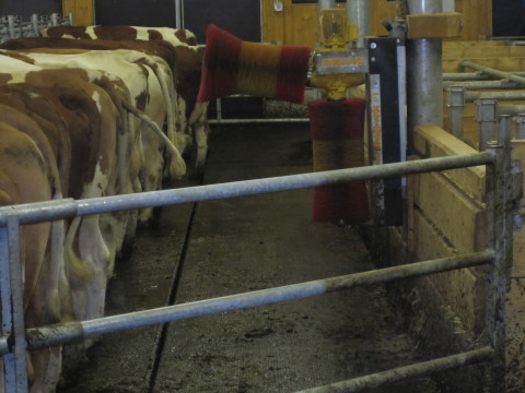 Tehénmosó szerkezet