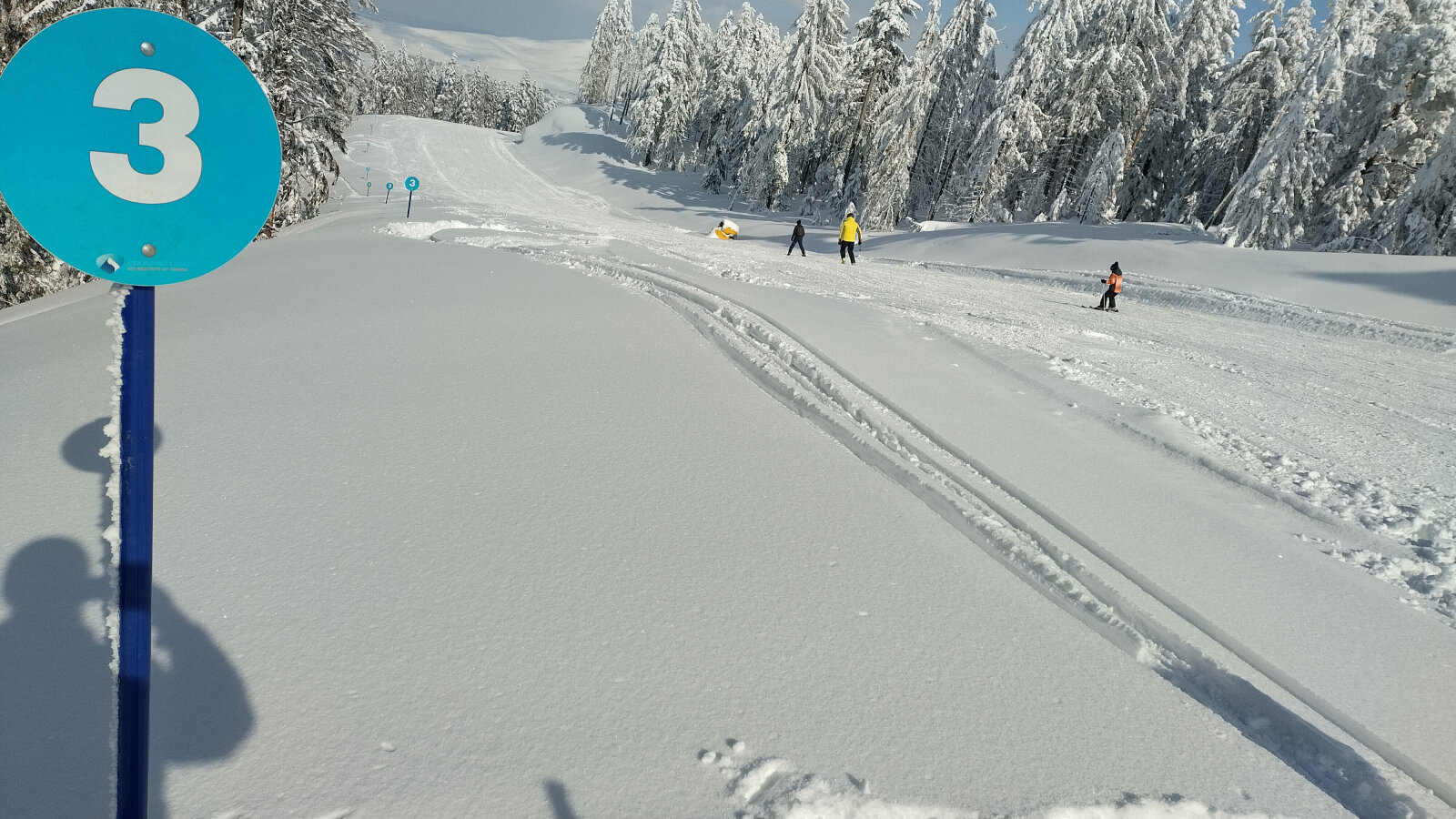 Lankás kék pálya kezdőknek a szerbiai Zlatibor síterepén | Kép: Fóris Gábor 