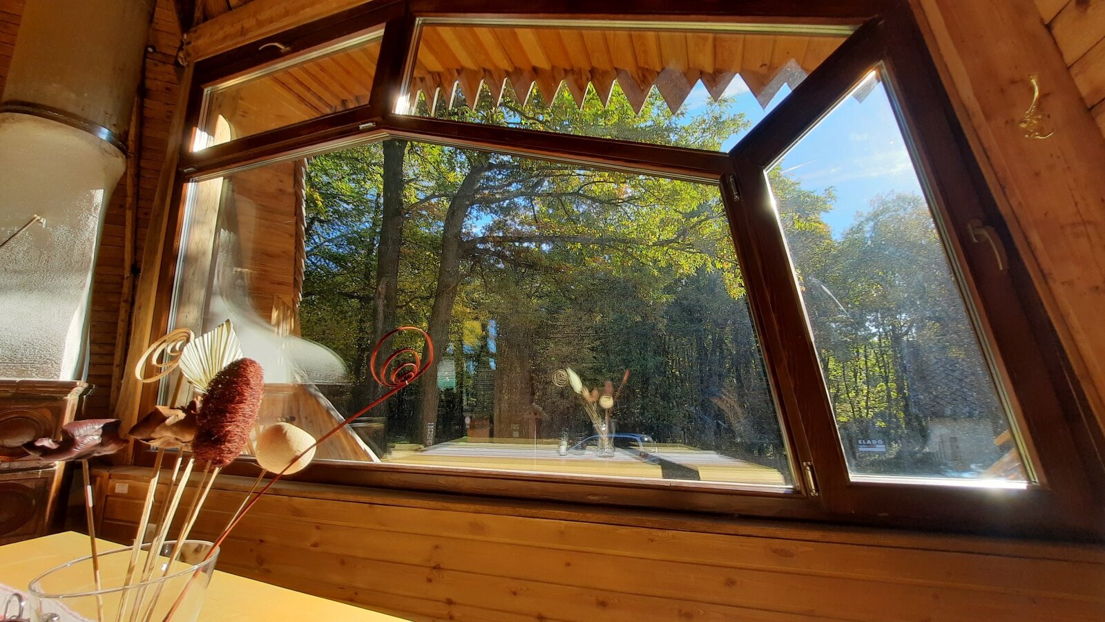 Erdőre nyíló kilátás