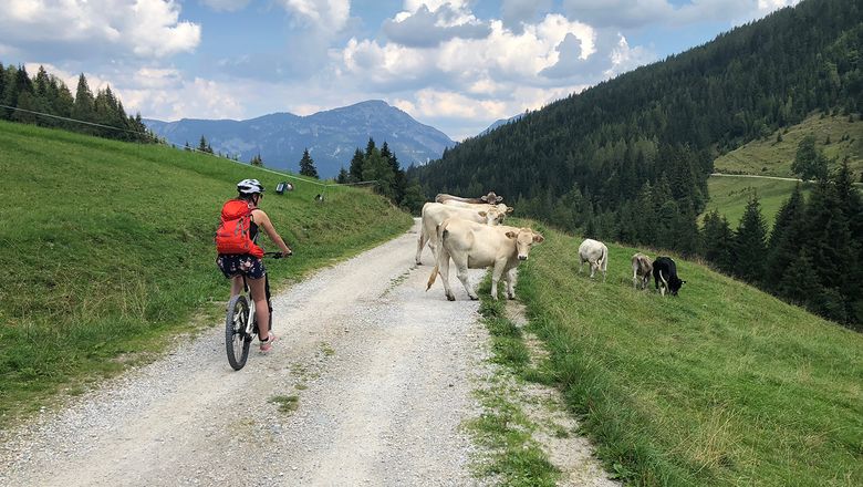 Kerékpárral a Hauser Kaiblingon