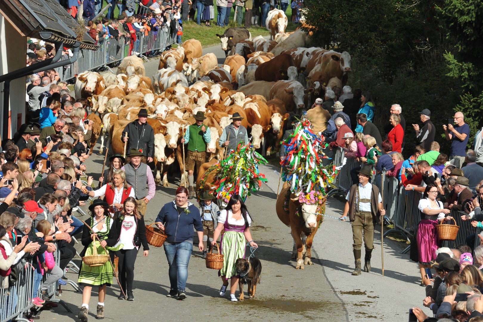 Fotó © TVB Oberwölz-Lachtal