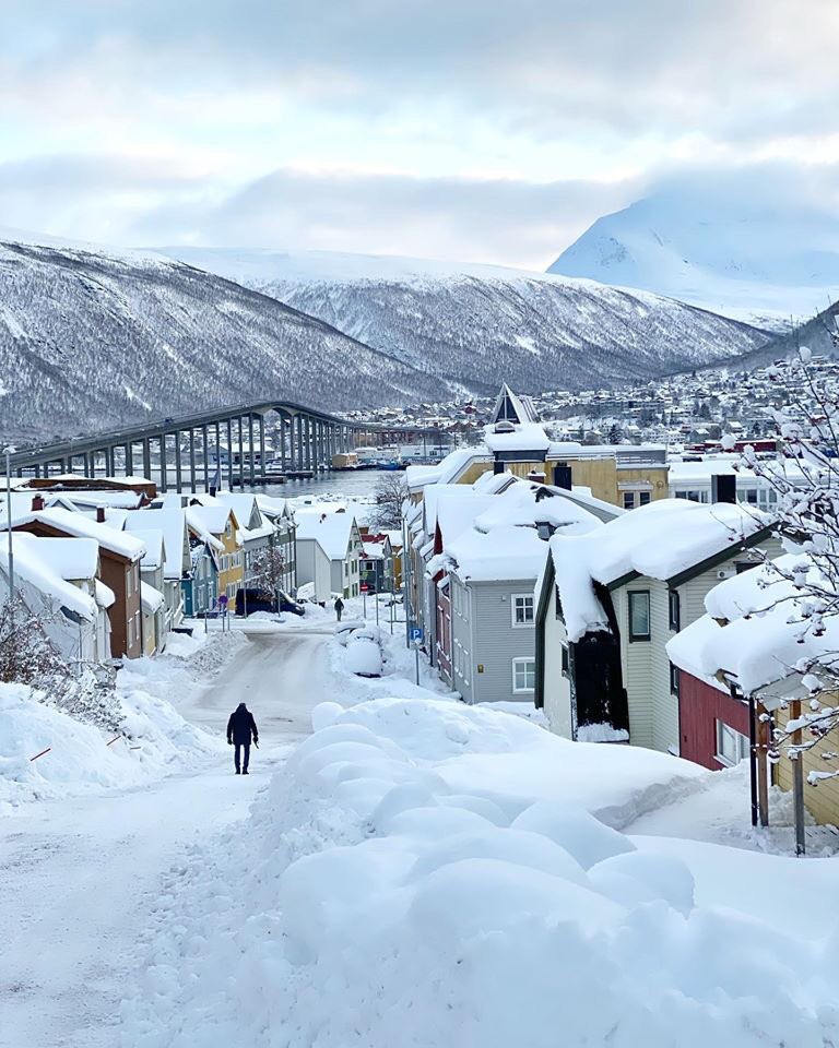 @JoAdams2019 / Twitter