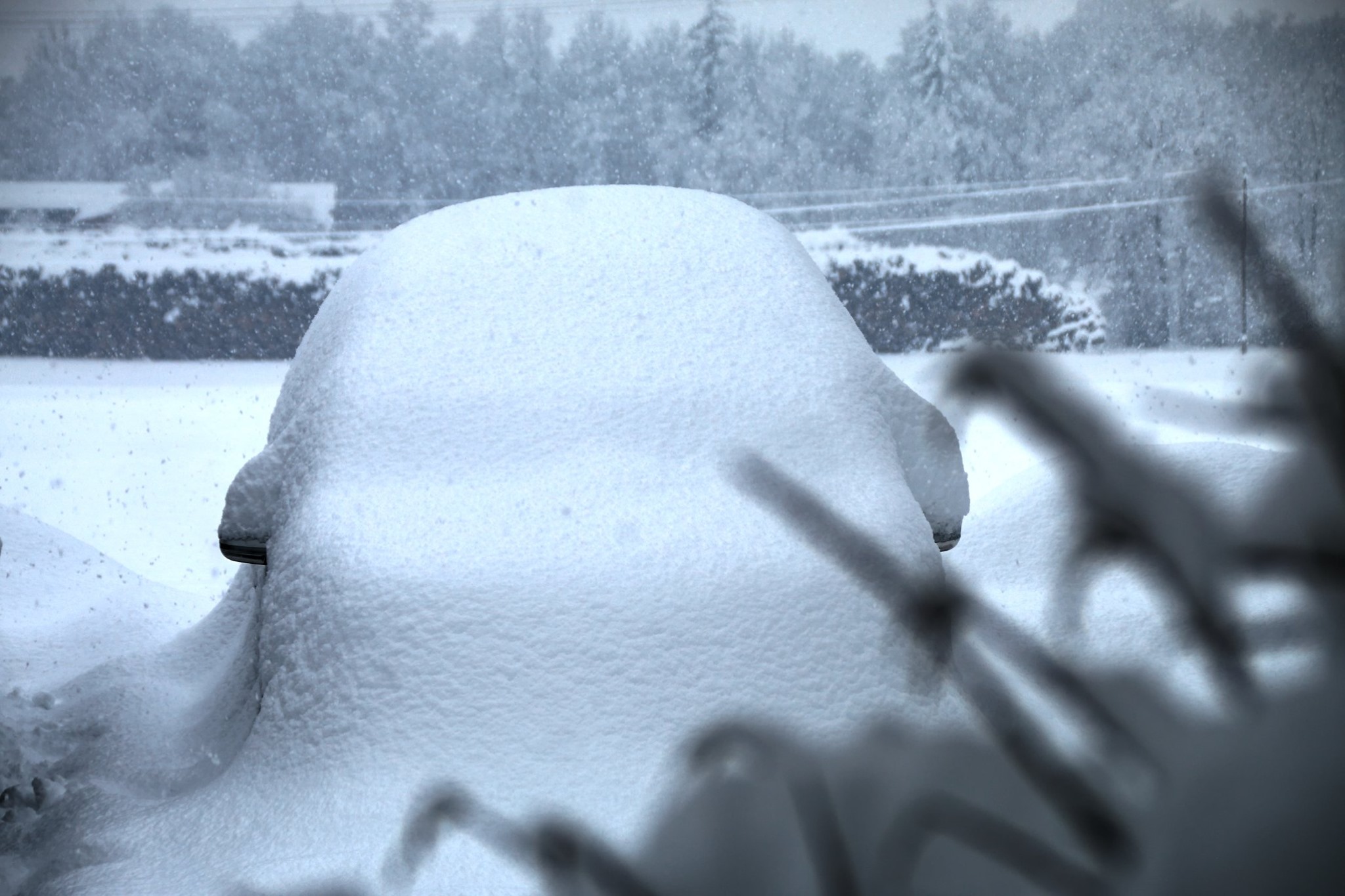 "Autóponyva" Matreiben - Fotó: Stánicz Balázs (Stani)