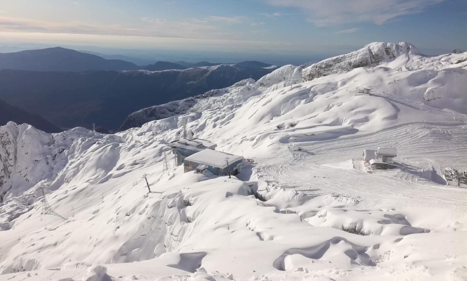 Kanin november 14-én