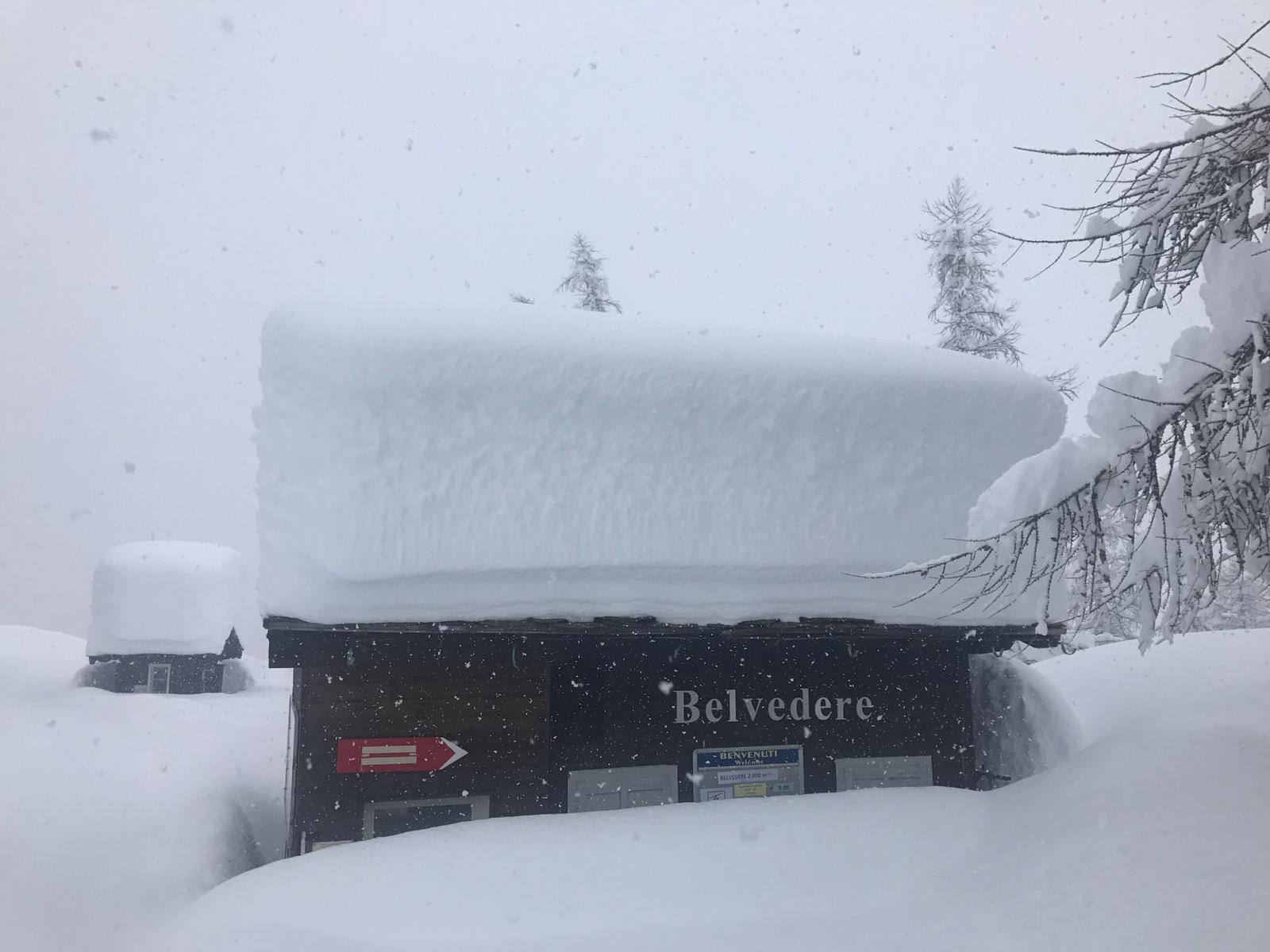 Monte Rosa, Belvedere