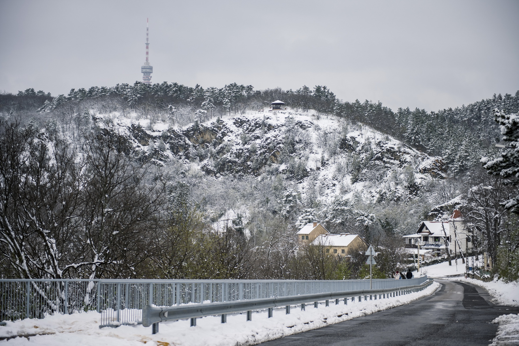 Behavazott házak Pécsen 2020. március 24-én. MTI/Sóki Tamás