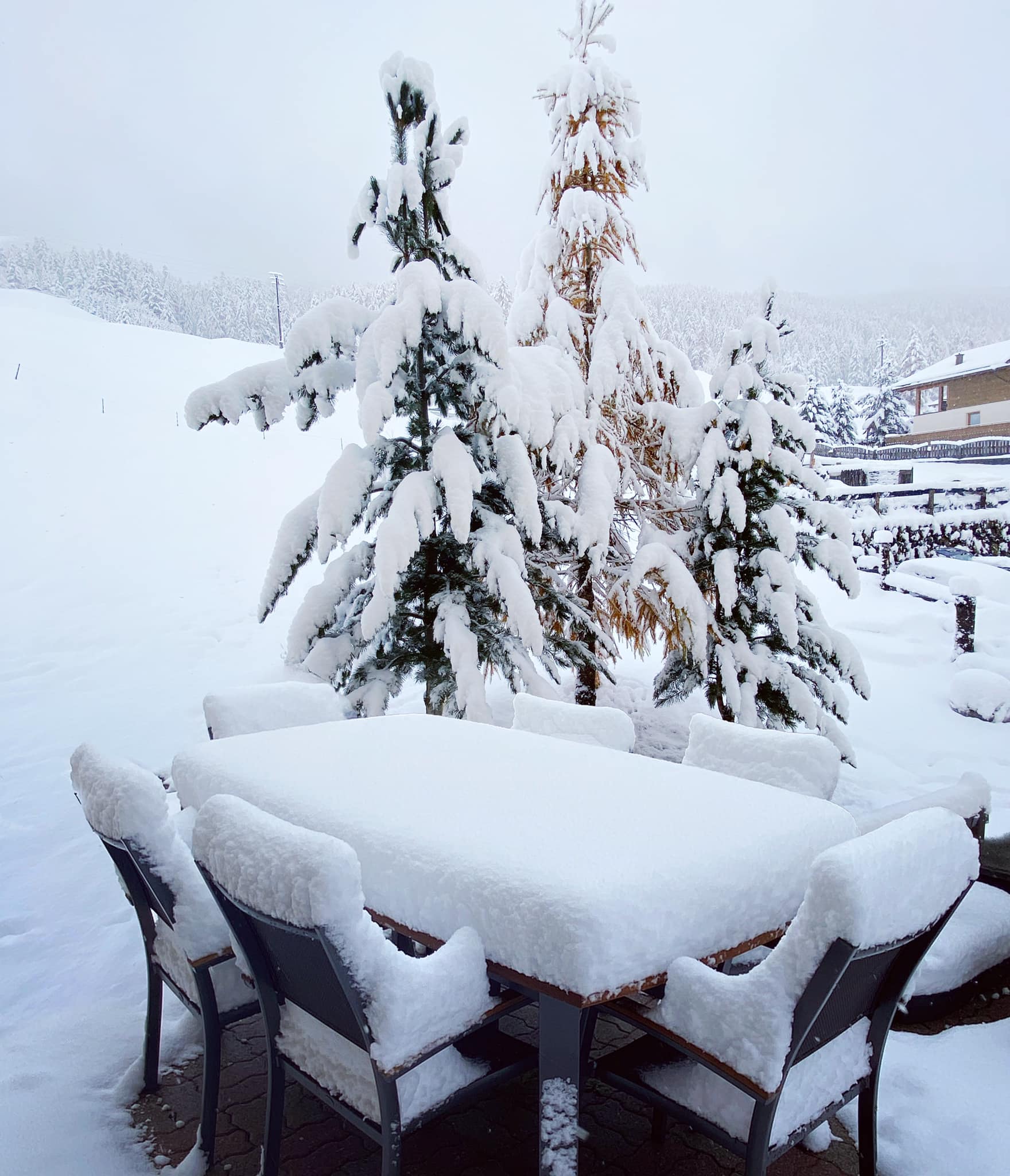 A természet megterített reggelire tegnap