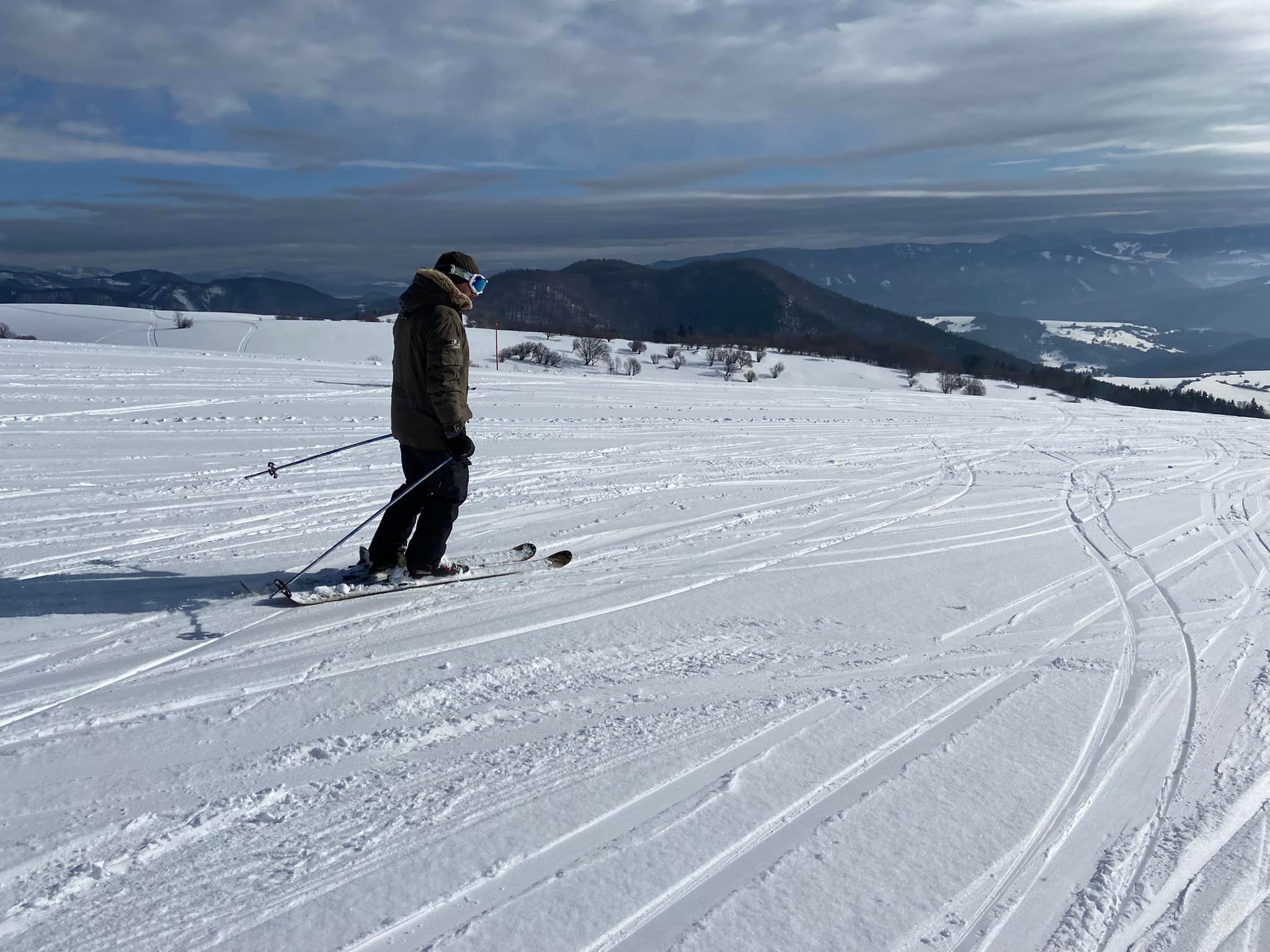 A fák nem zavarnak ...