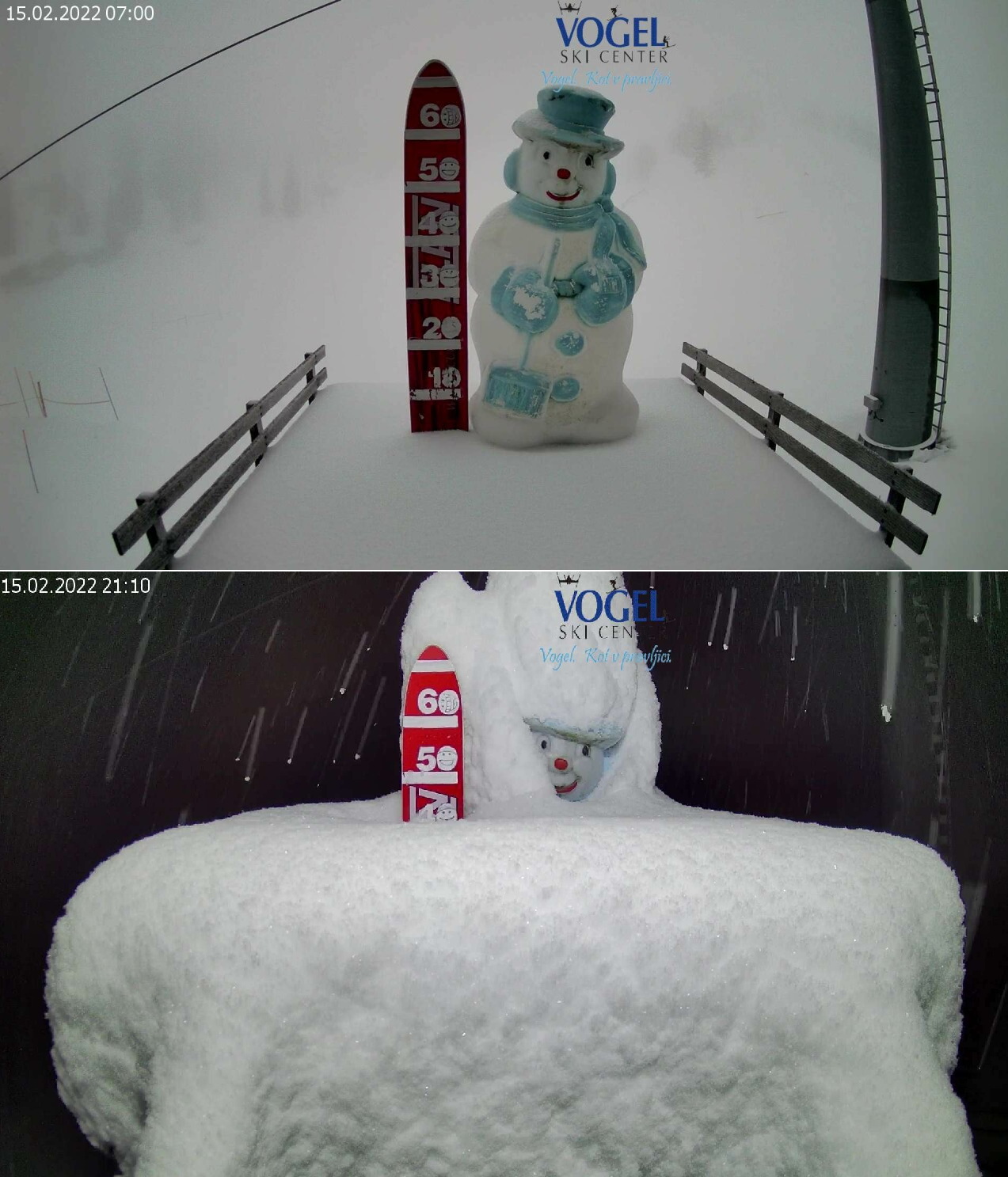 Vogel, Szlovénia (1540 m): a mai termés