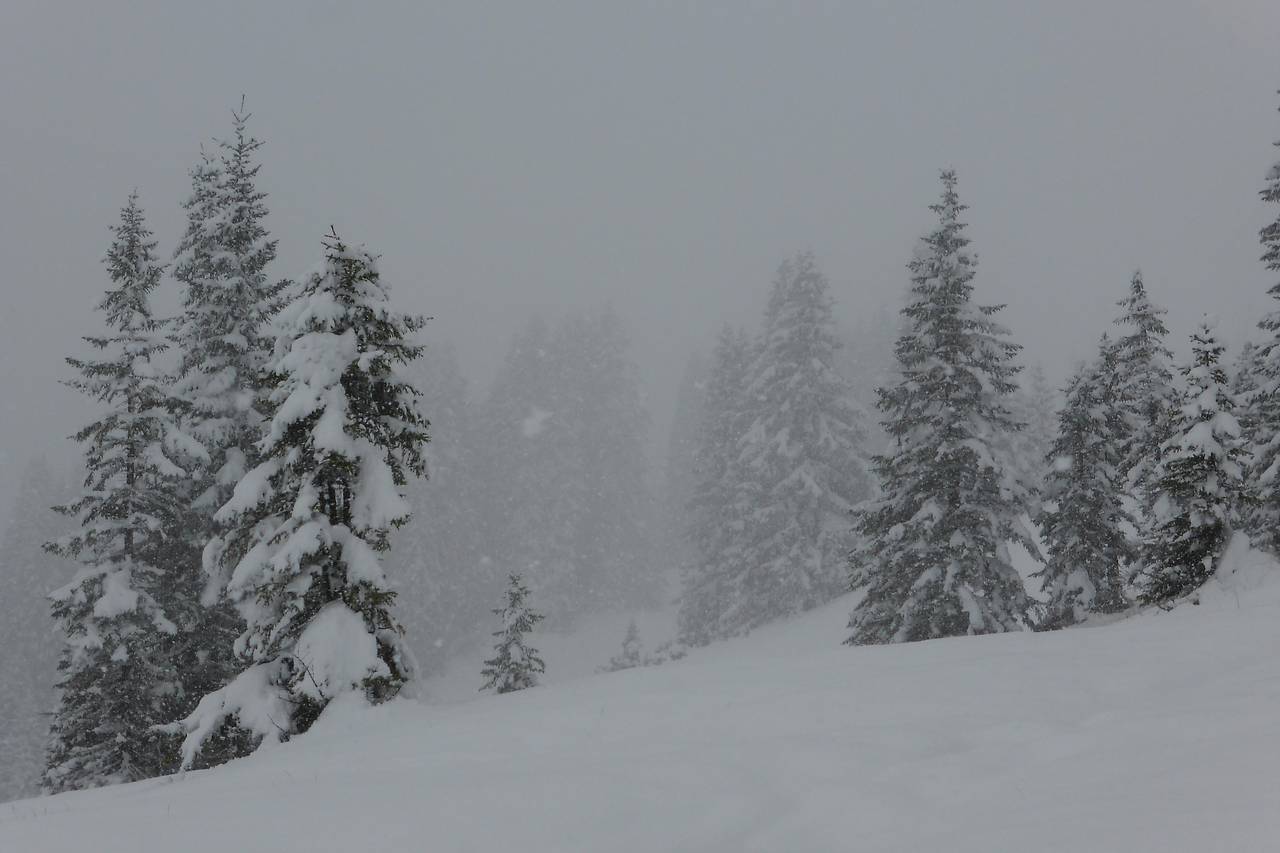 Akár januárban: Lech szombaton - Fotó: Wolfgang Kogler