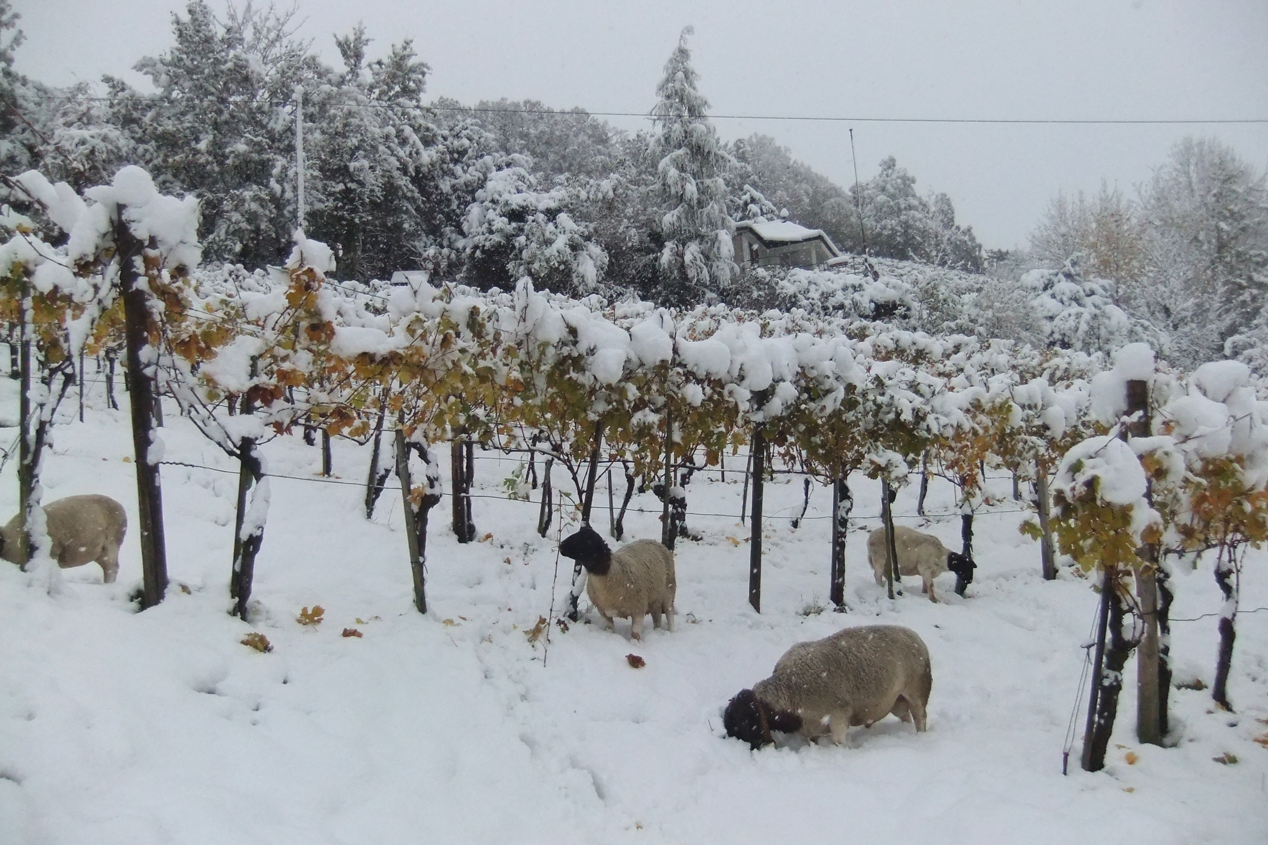 Svájc tíz évvel ezelőtt: októberi hórekordok