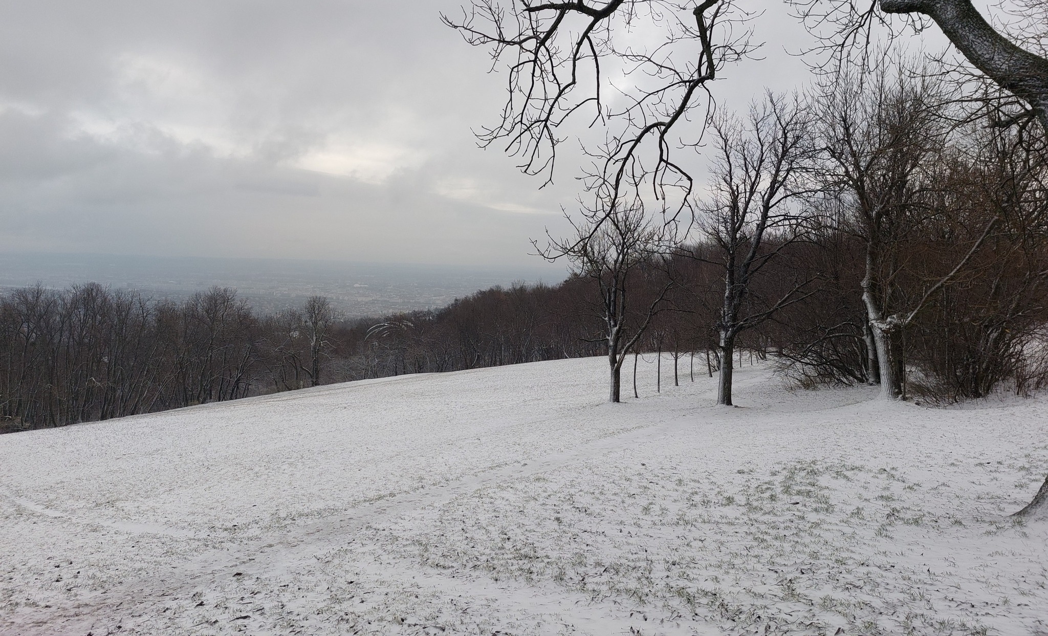 Ma reggel a Normafán (Kép: Normafa Park)