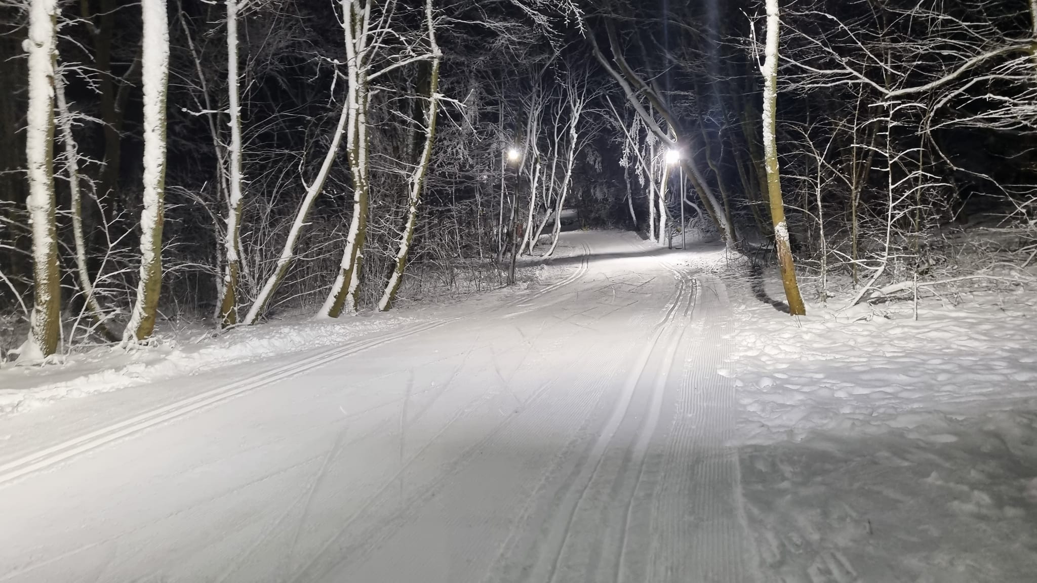 Elkészült a sífutópálya | Kép: Normafa Park