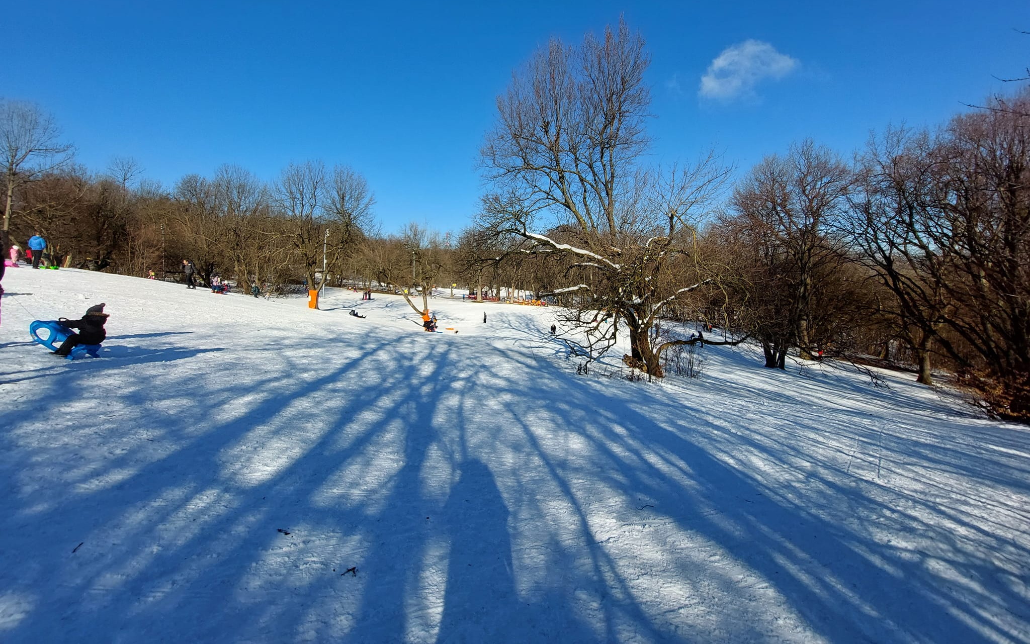 A szánkópálya továbbra is ingyenes. Kép: Normafa Park