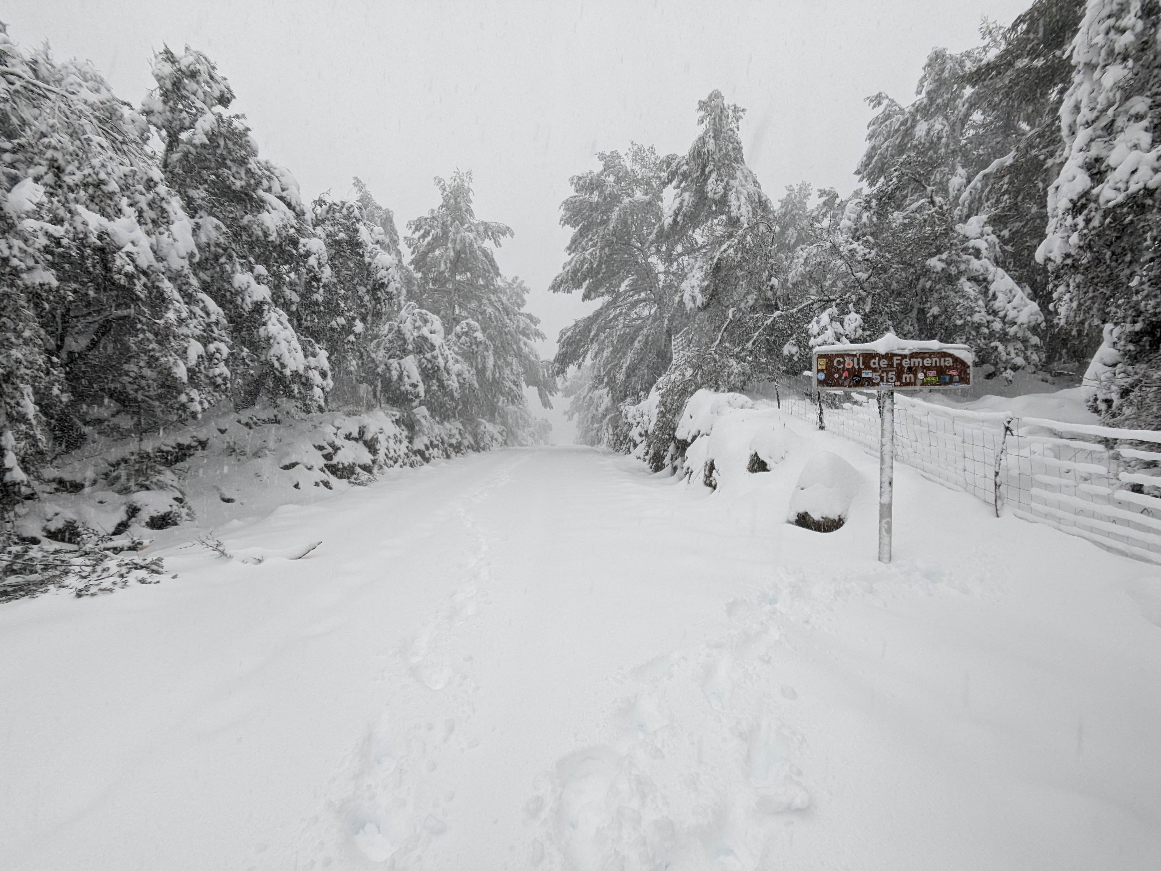 500 méteren már így nézett ki a táj (Kép: AEMET)