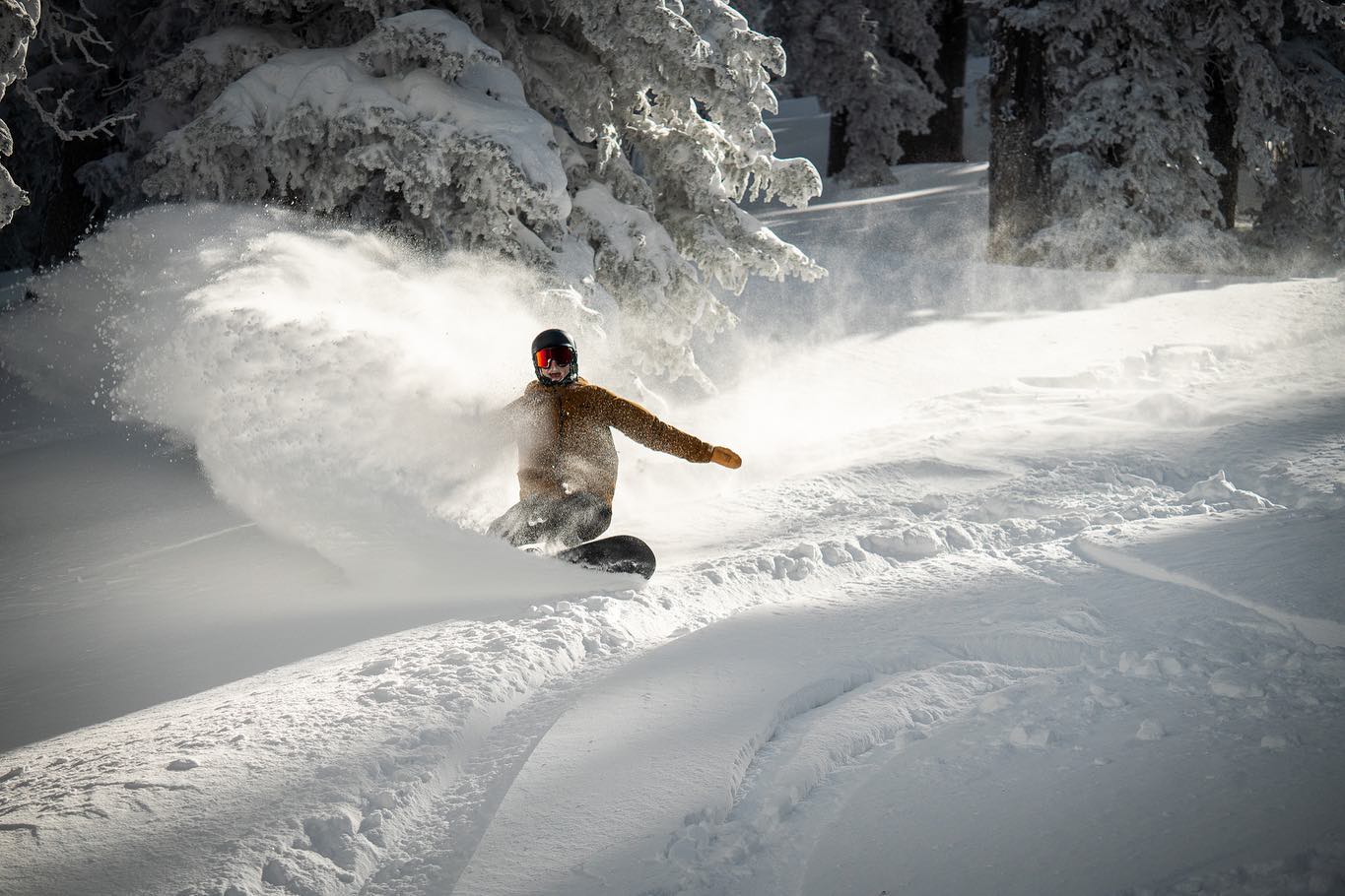 Idén jó havuk van (Kép: Arizona Snowbowl)