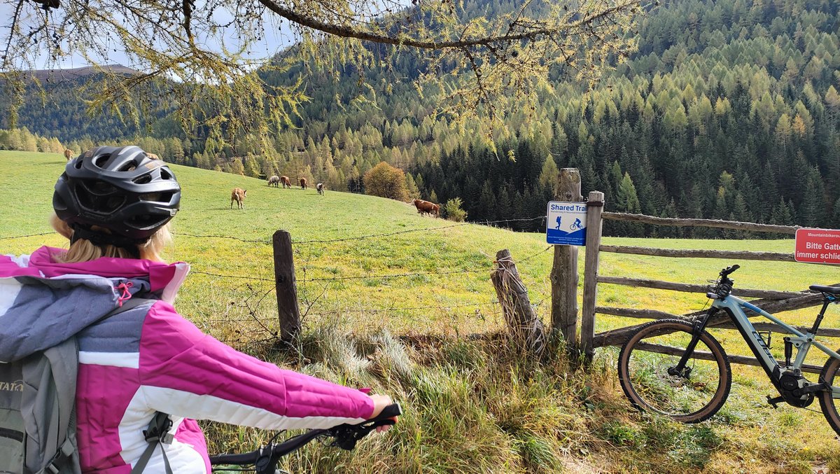 A mountainbike és túraútvonal több legelőn is átvezet, a tehénőrző kapukat mindig nyitni/zárni kell!