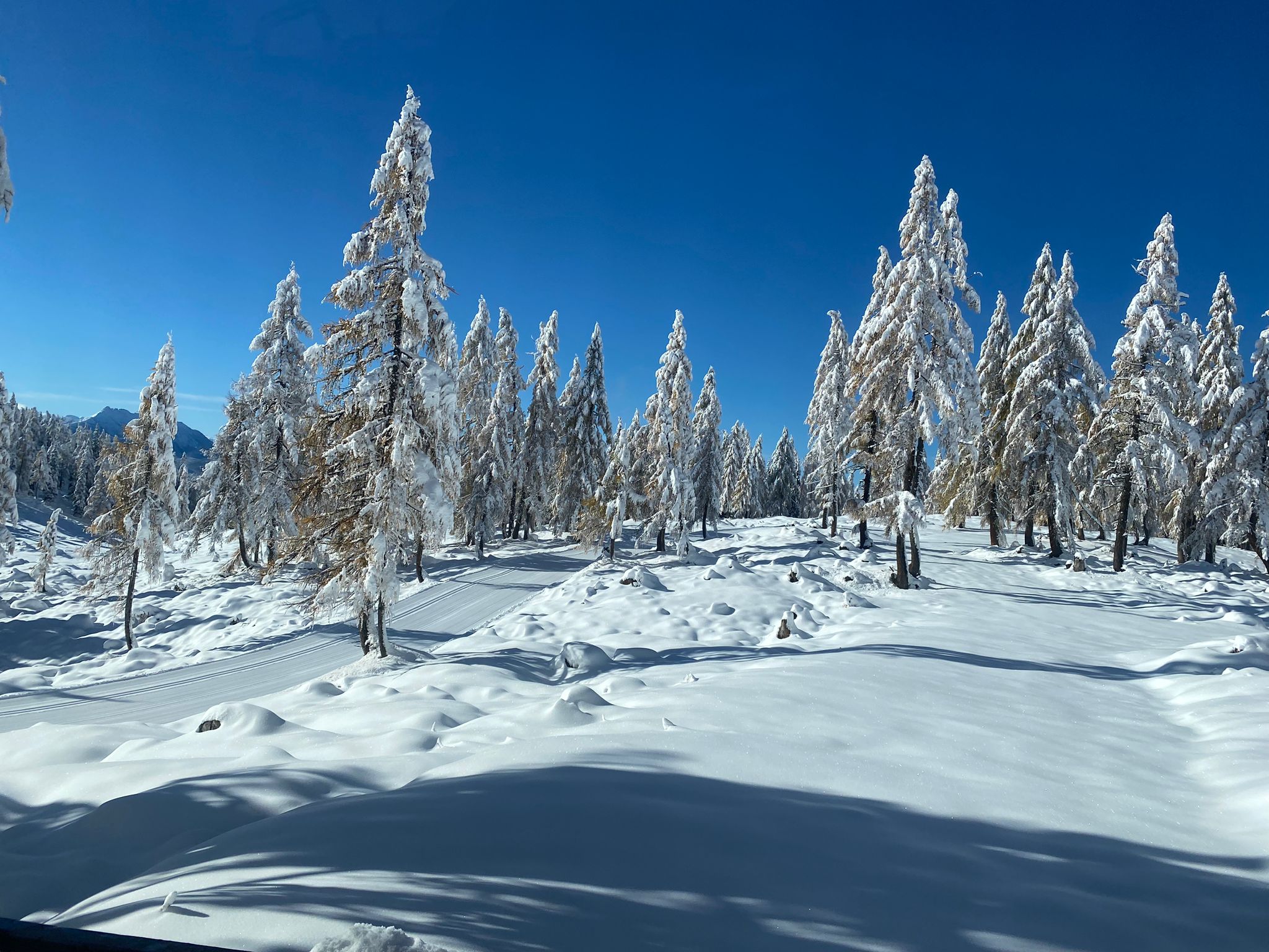 Kép: Steiralauf Bad Mitterndorf