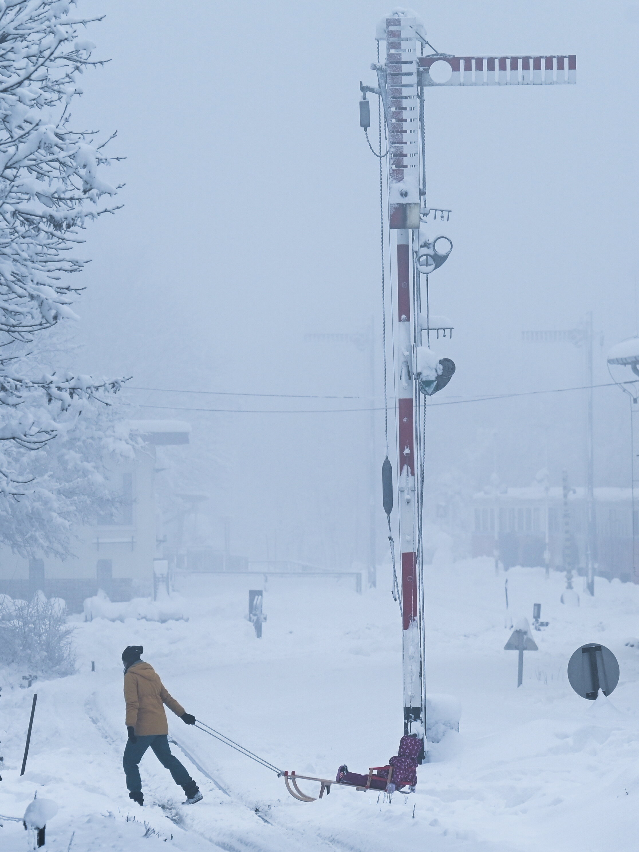 Egy gyermeket húznak szánkón a Gyemekvasút Széchenyi-hegyi megállójánál  2023. december 10-én. MTI/Máthé Zoltán