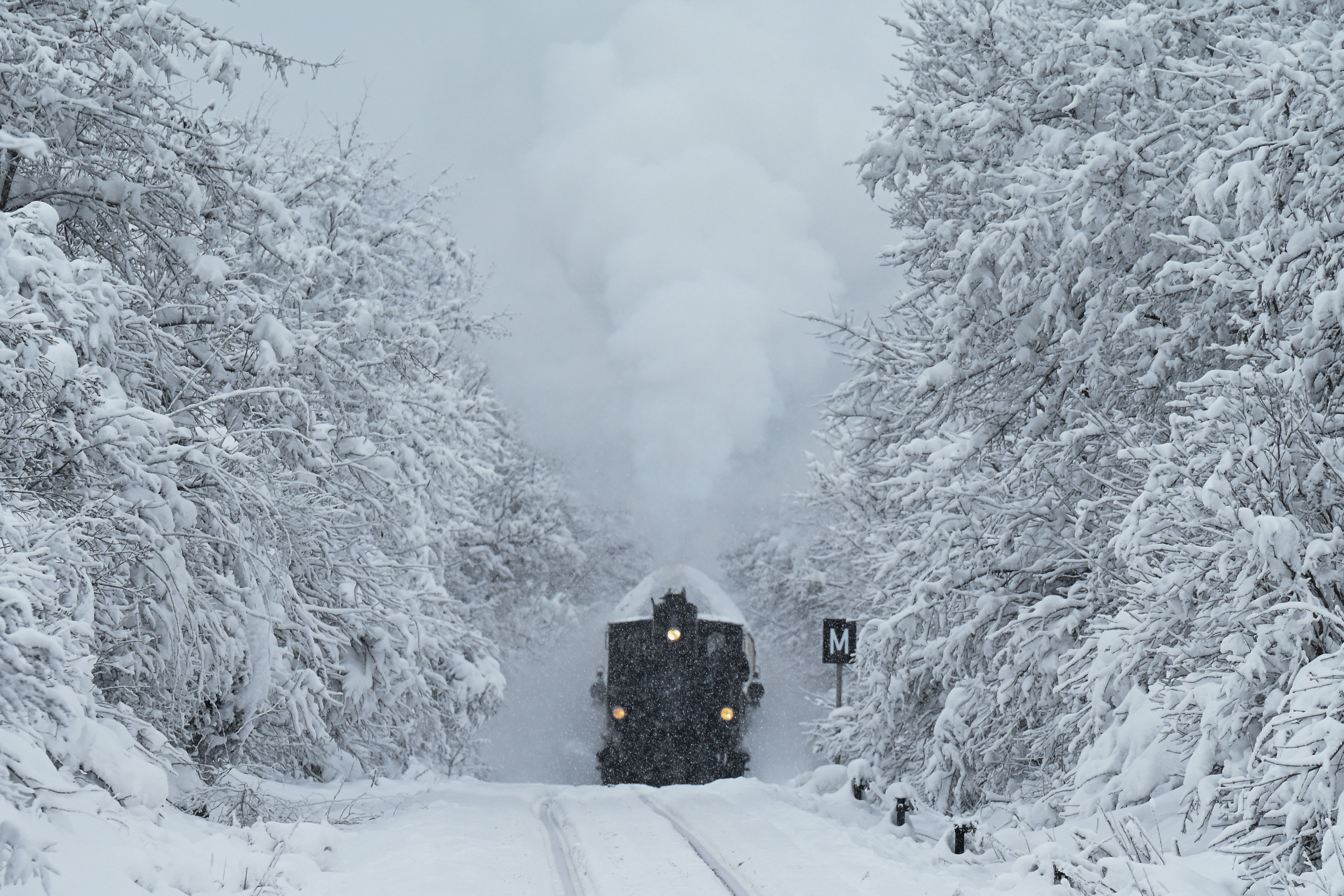 A Gyermekvasúton közlekedő gőzmozdony vontatta nosztalgiavonat a Normafa és a Széchenyi-hegy megállók között 2023. december 10-én. MTI/Máthé Zoltán