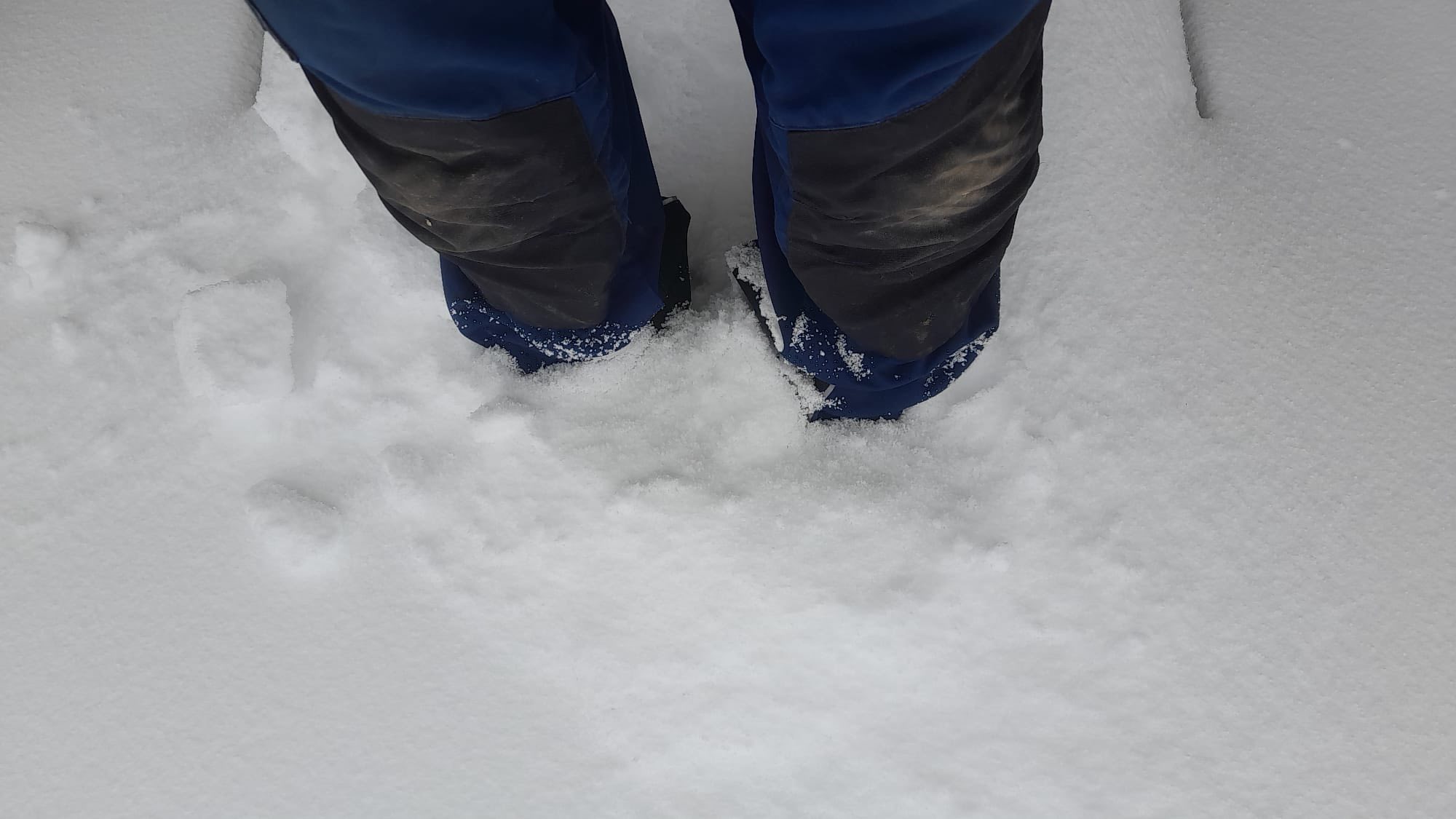 Kép: Markus Redl / Facebook