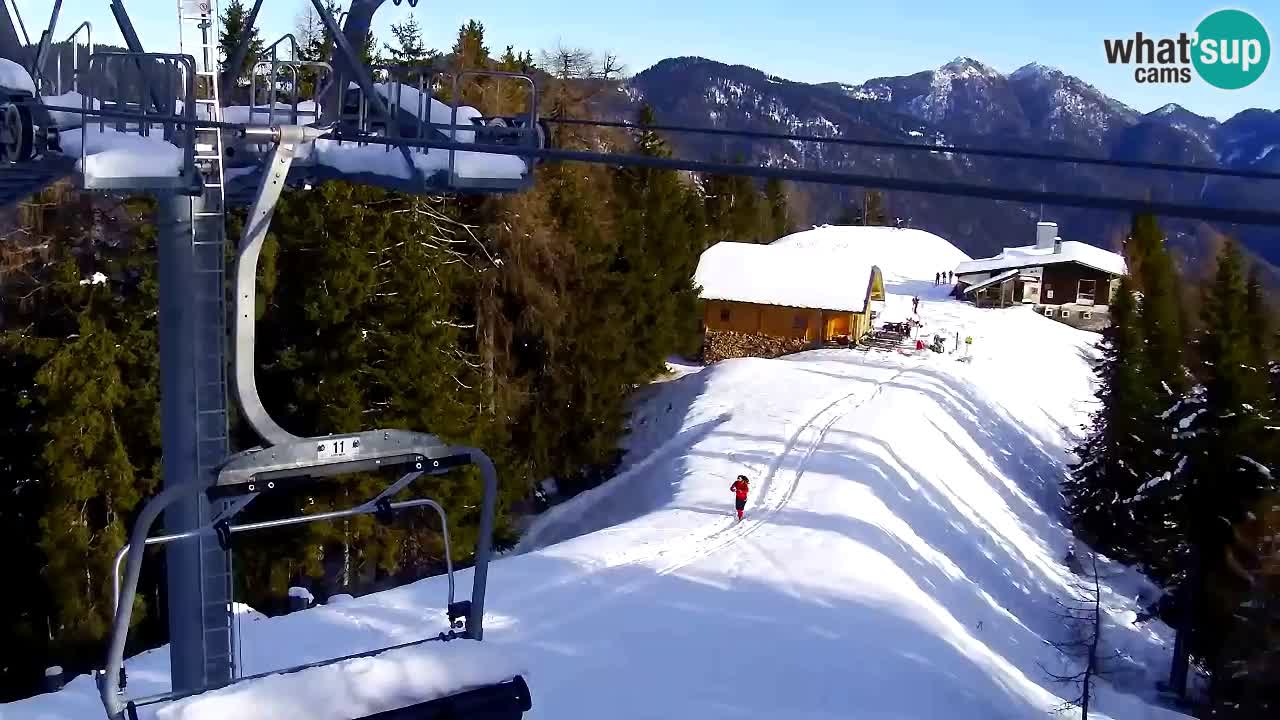 Vasárnapi webkamera képe 1560 méteren