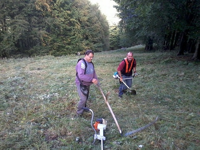 A lesikló útvonalak kaszálása a Börzsönyben