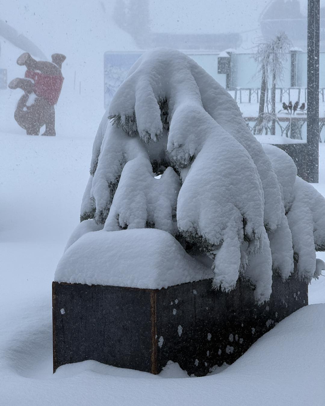 Granatalm, Zillertal kb. 2095 méteren / Kép: Granatalm / Facebook