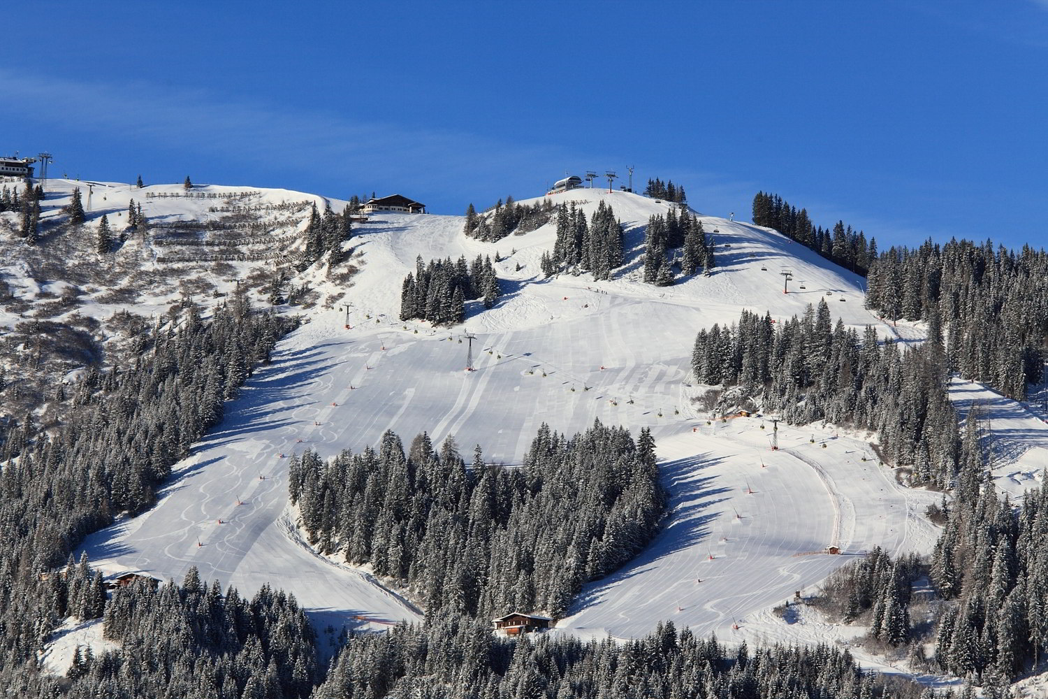 Szív alakú erdő Grossarltal síterepén