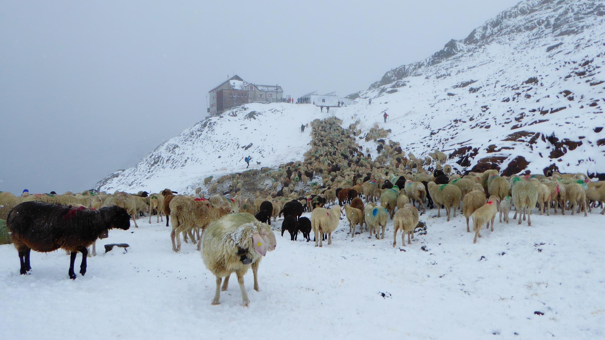 Kép: Schnalstaler Gletscherbahnen - Funivie Ghiacciai Val Senales