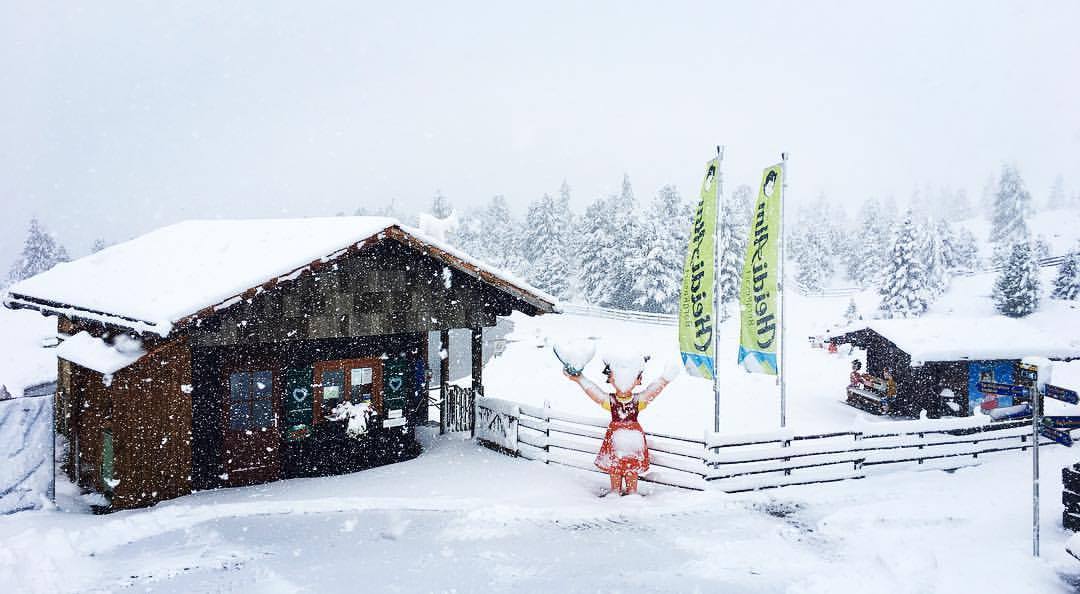 Falkert - fotó: Heidi Alm (facebook)