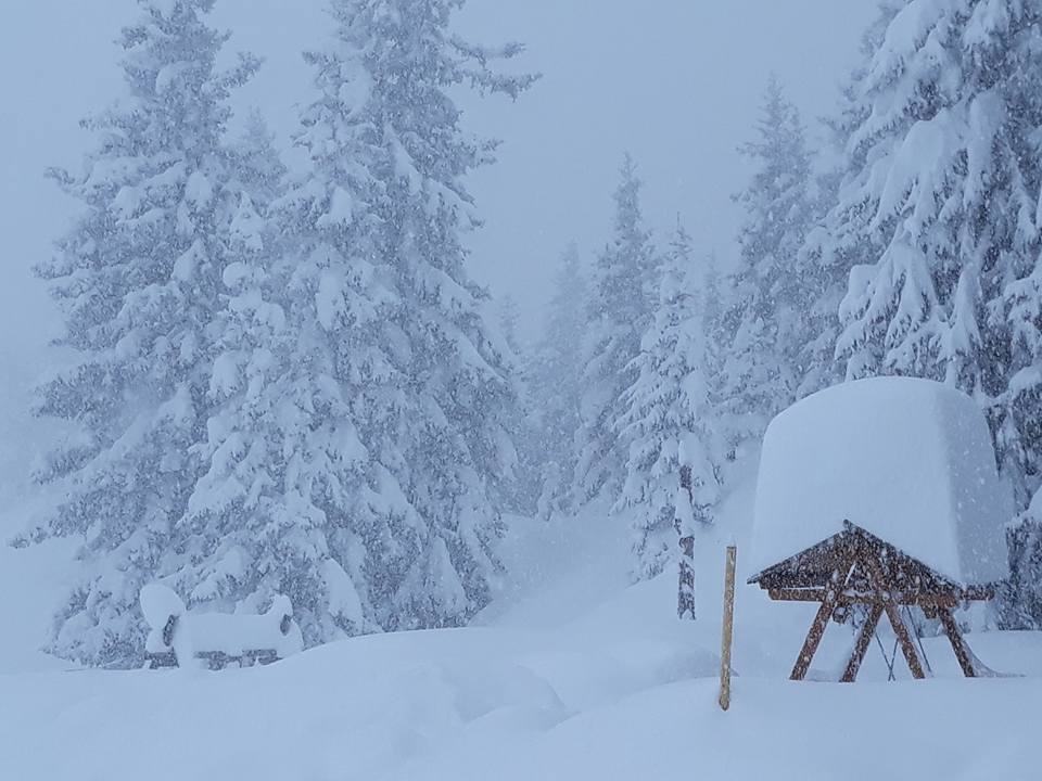 Zell am See vasárnap délután - fotó: Stánicz Balázs