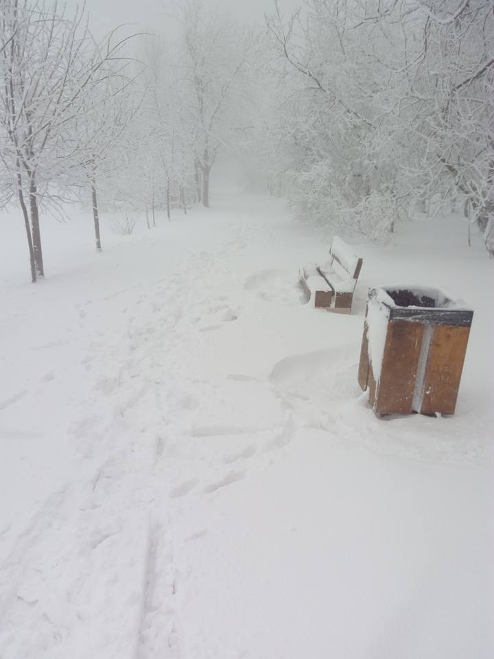 Budapest, Normafa Park