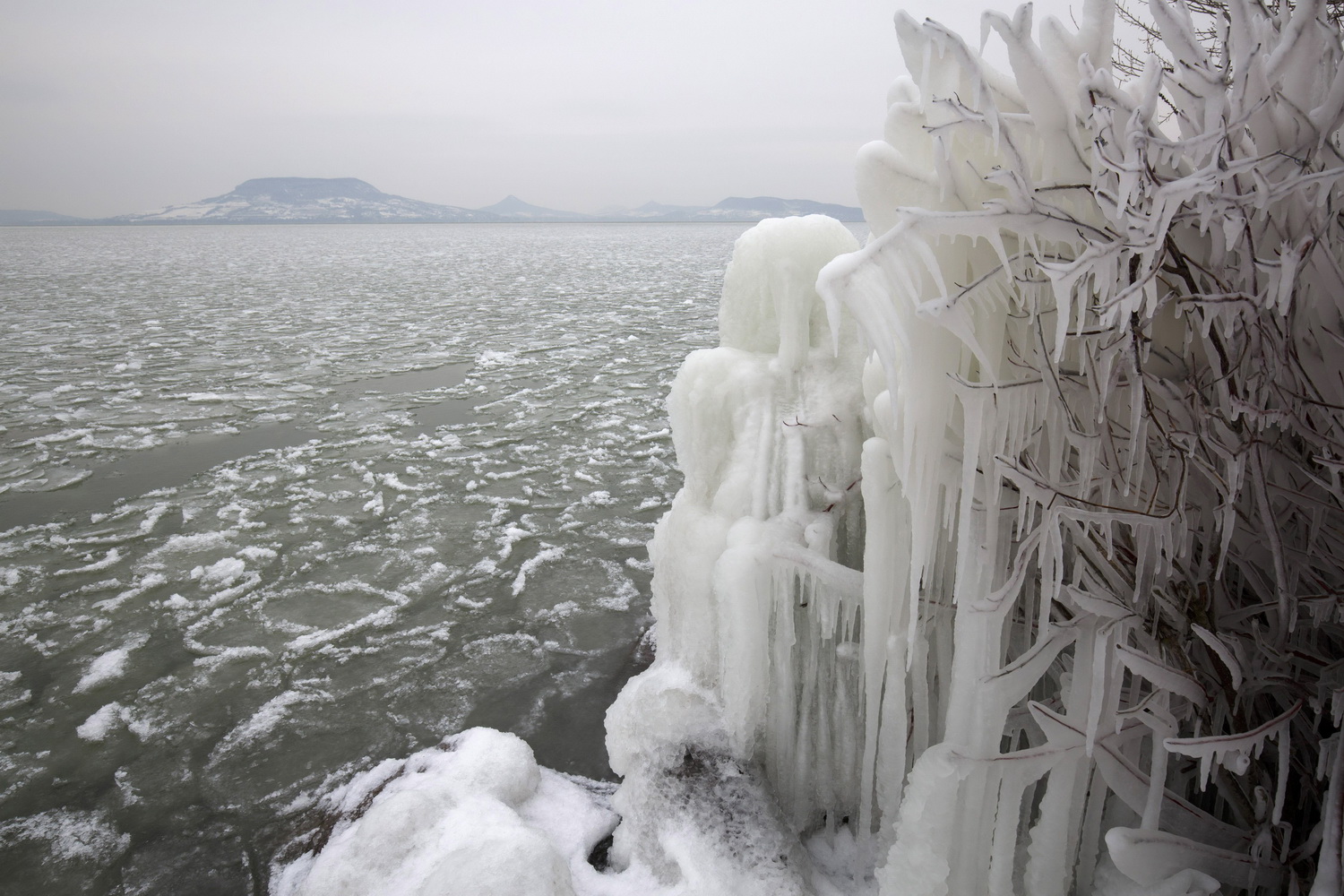 Jégcsapok egy bokor ágain a fonyódi Balaton-parton 2018. február 26-án. MTI Fotó: Varga György