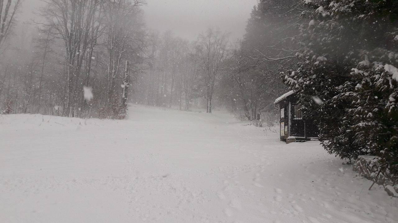 Bánkúton eddig 10 cm hó esett. Hétvégén megnyithat a 7-es pálya. Fotó: Bánkút Sícentrum