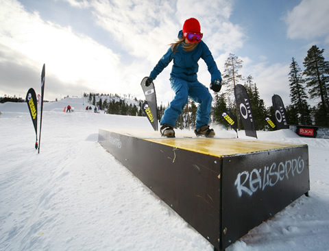 Forrás: ttrcatfight.net