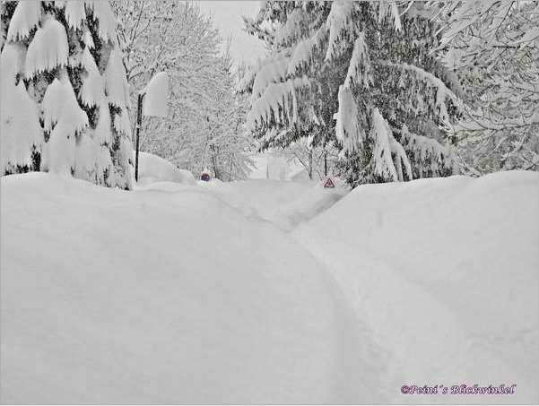Fotó: Simone Peinhardt